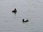IMG_3540.JPG
