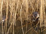 IMG_3569.JPG