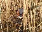 IMG_3572.JPG