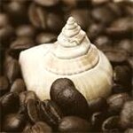 kaffee schnecke.jpg