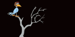 vogel_0030.gif vogel_0030.gif