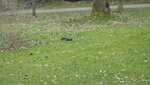 IMG_7473.jpg