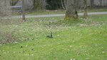 IMG_7475.jpg
