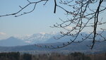 IMG_7513.JPG
