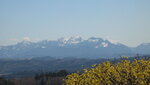 IMG_7516.JPG
