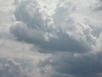 IMG_4984.jpg