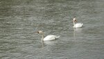 IMG_7545.jpg