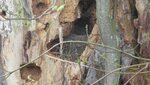 IMG_7556.jpg