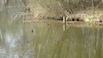 IMG_7553.jpg