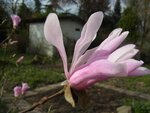 RIMG0119.JPG
