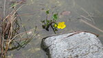 IMG_7573.JPG