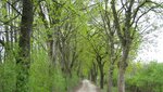 IMG_7616.jpg