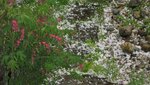IMG_7641.jpg