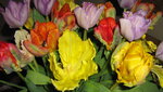 IMG_7652.JPG