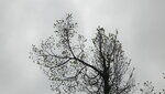 IMG_7673.JPG