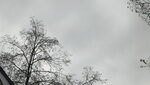 IMG_7674.JPG