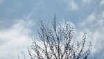 IMG_7678.JPG