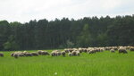 IMG_7765.JPG