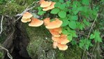IMG_7744.jpg