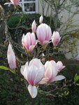IMG_5035.jpg