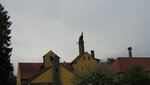 IMG_7785.JPG