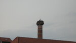 IMG_7784.JPG