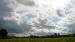 IMG_7816.JPG