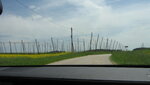 IMG_7869.JPG
