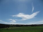 IMG_5055.jpg