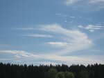 IMG_5056.jpg