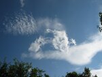 IMG_5088.jpg