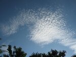 IMG_5090.jpg