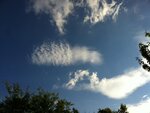 IMG_0029.jpg