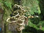 P1010350 Kopie.jpg