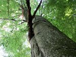IMG_0322.JPG