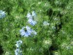 IMG_0331.jpg
