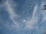 IMG_5138.jpg