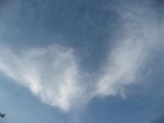 IMG_5139.jpg