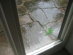Regen aus der Traufe 029.jpg