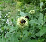 IMG_0407.JPG