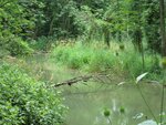 IMG_0411.JPG