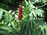 IMG_0459.jpg