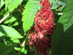 IMG_0456.jpg