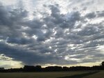 IMG_0512.jpg