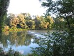 IMG_0485.jpg