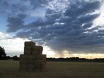 IMG_0502.jpg