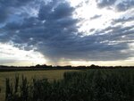 IMG_0505.jpg