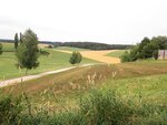 IMG_0566.jpg