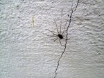 IMG_0561.JPG
