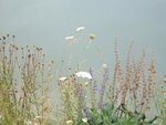 IMG_0593.jpg